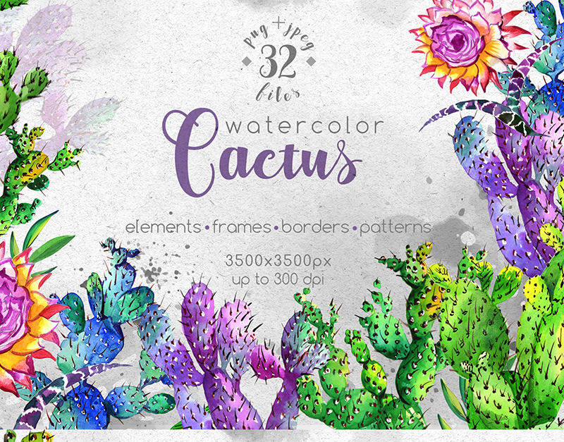 Cactus de acuarela - Flores silvestres PNG - Ilustración
