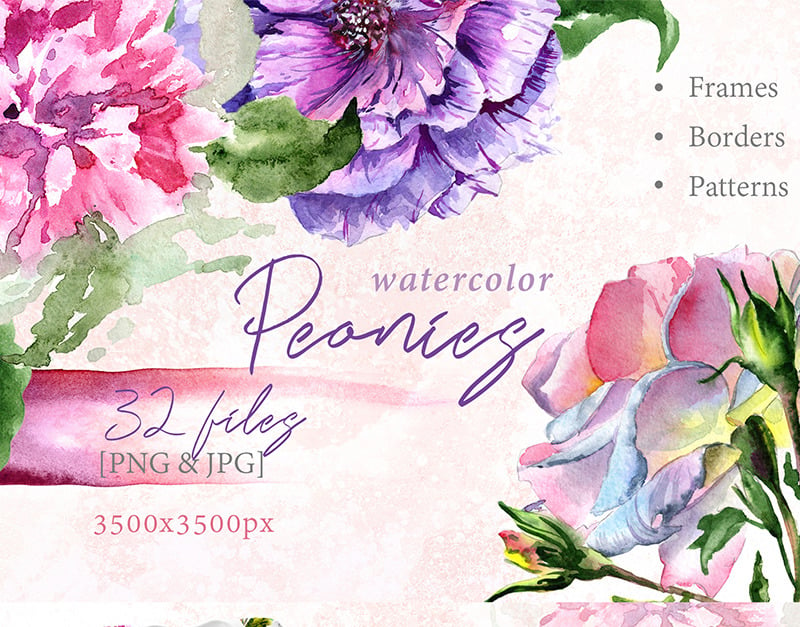 Elegant Peony PNG Watercolor Flower Set - Illustration