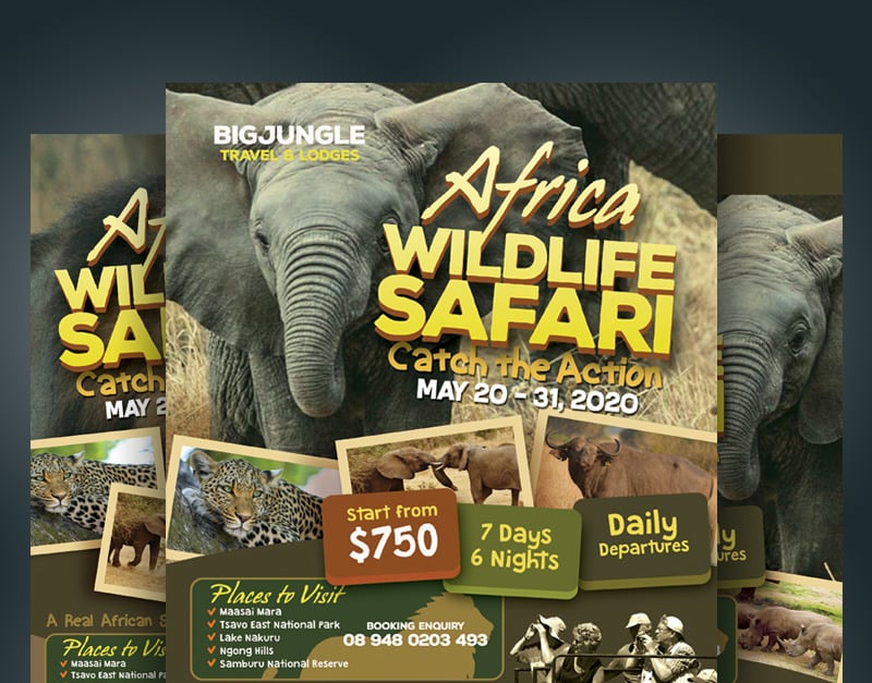 Wildlife Safari Flyers - Corporate Identity Template