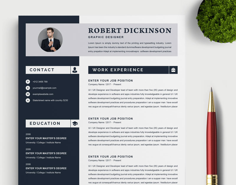 Dickinson Resume Template #84120 - TemplateMonster