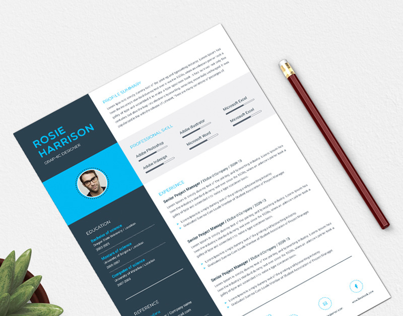 Rosie Resume Template #84115 - TemplateMonster