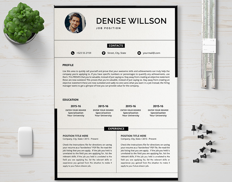 Denise Resume Template #89011 - TemplateMonster