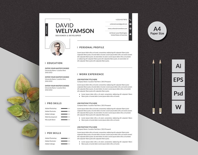 David Weliyamson Clean Resume Template - TemplateMonster