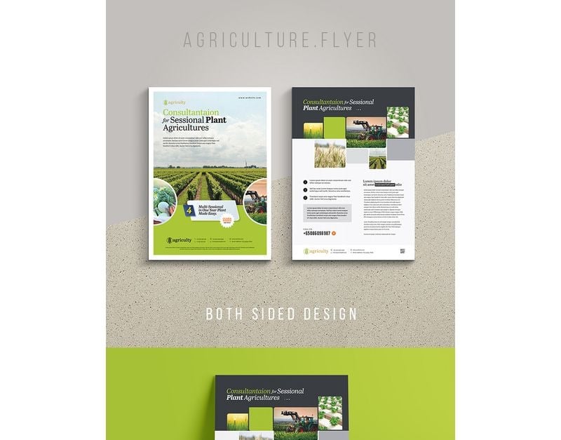 Agriculture & Farm House Flyer - Corporate Identity Template