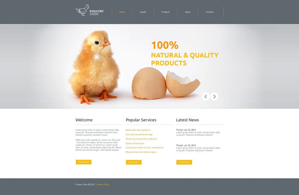 Poultry Farm Website Template With Gray Design MotoCMS