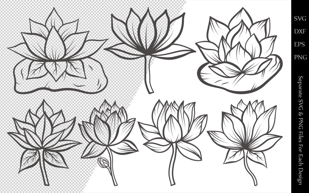 Download Lotus Flower Outline Bundle Drawings Illustration