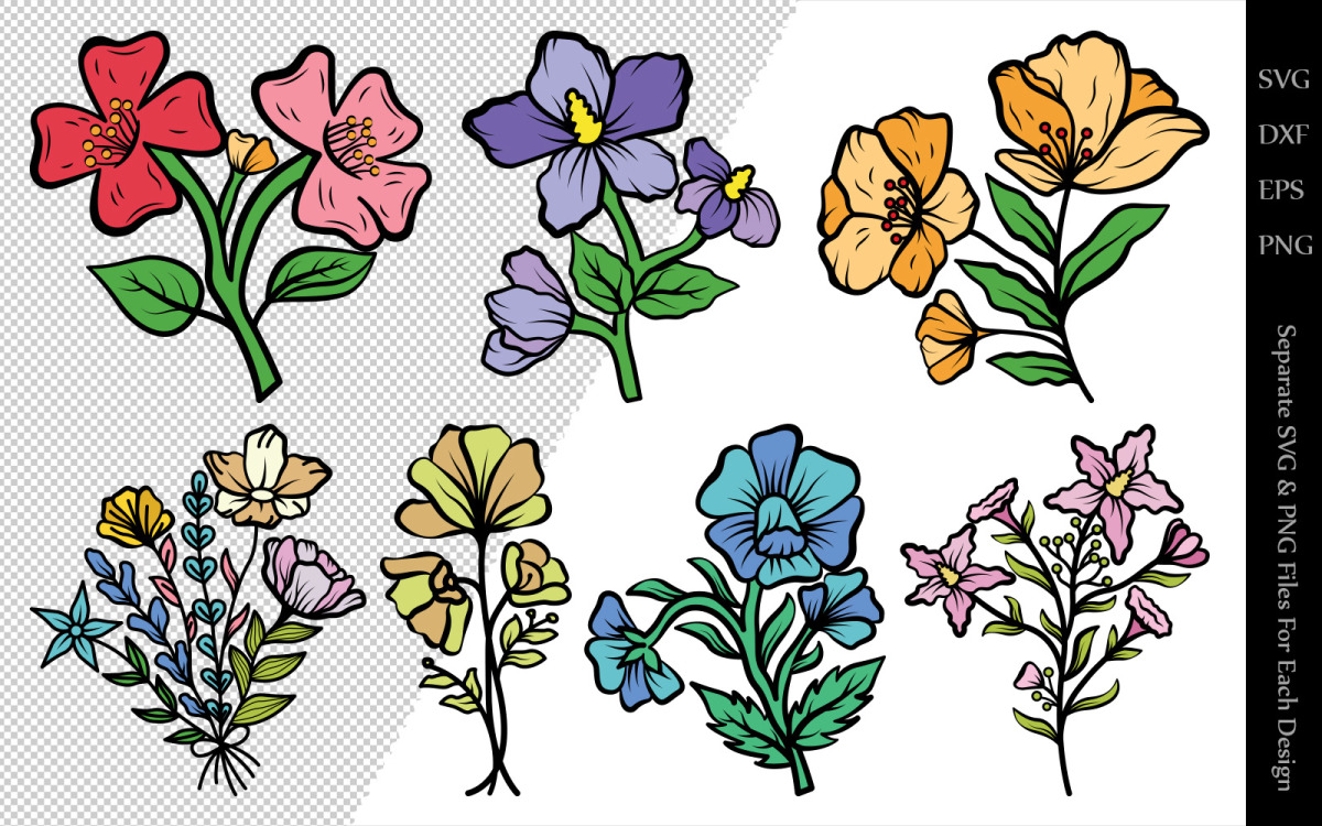 Wild Flower Clipart Bundle Drawings Illustration