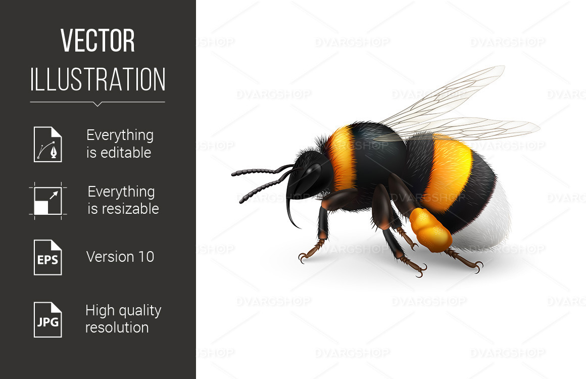 bumble bee vector