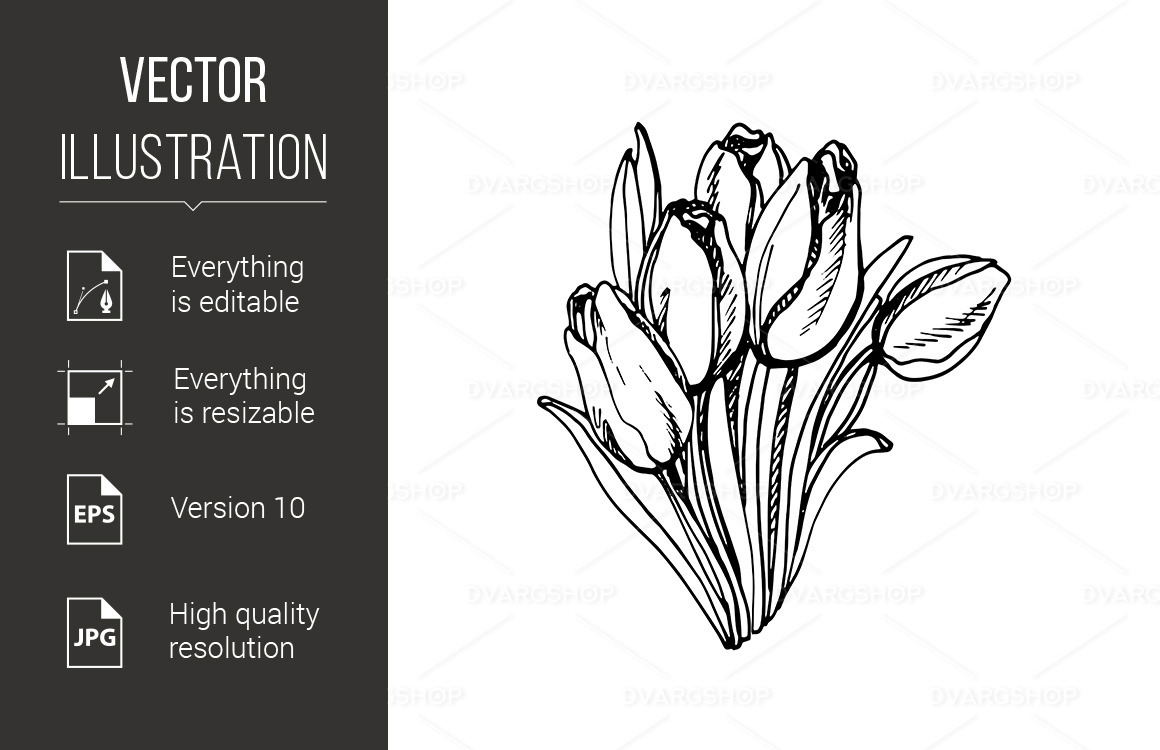 Tulp Getekend Tulp Clipart Zwart Wit Afbeelding Van Tulpen Op Grafsteen
