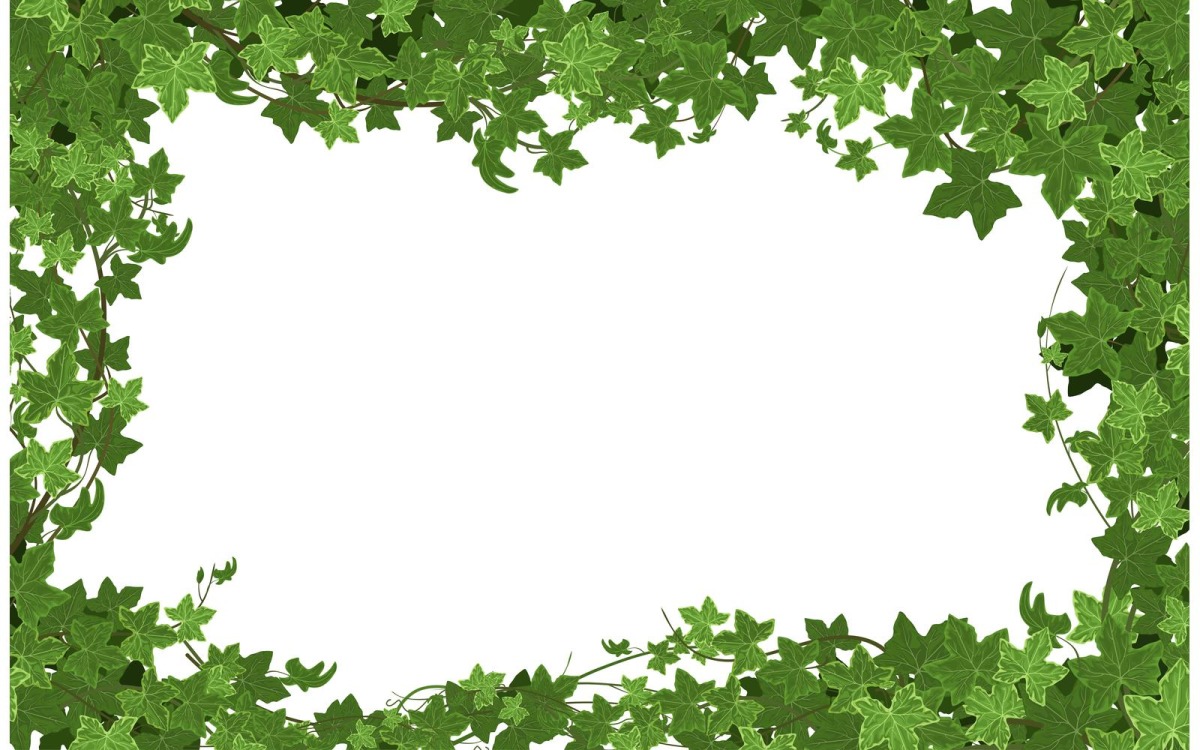 Efeu Kletterpflanze Rahmen Vektor Illustration Konzept