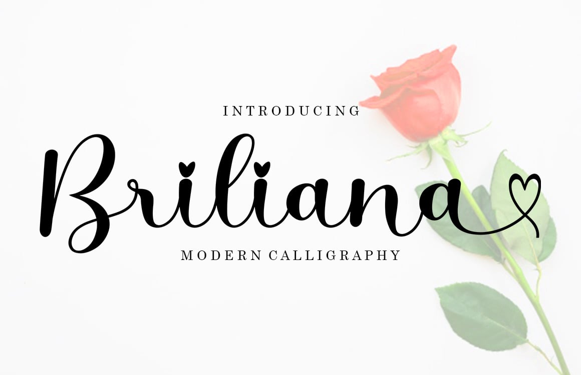 Austrian Modern Calligraphy Font - So Fontsy