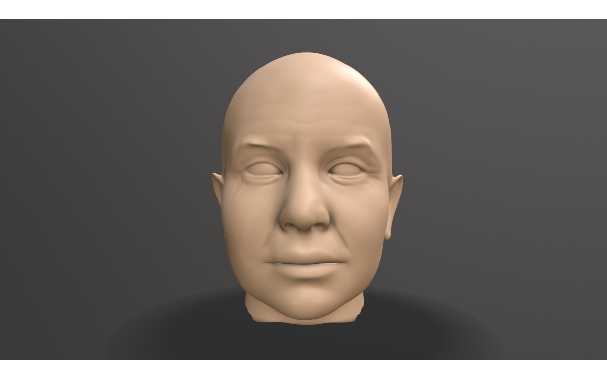 Male Head Sculpt 5 | 3D model