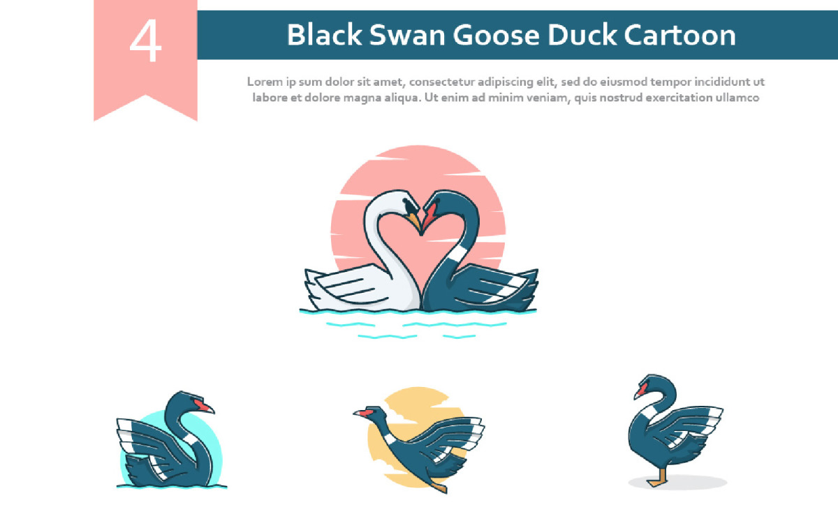 4 Black Swan Goose Duck Cartoon Illustration