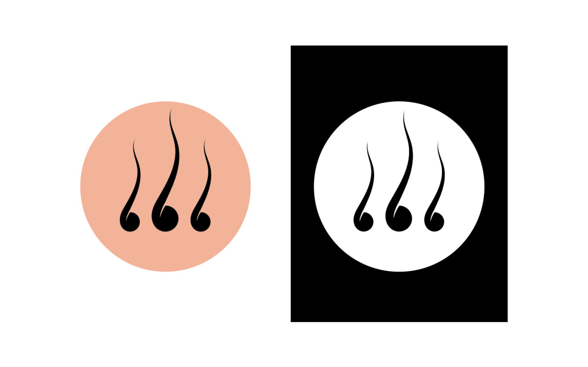 Hair Care Logo And Symbol Vector V10 - TemplateMonster