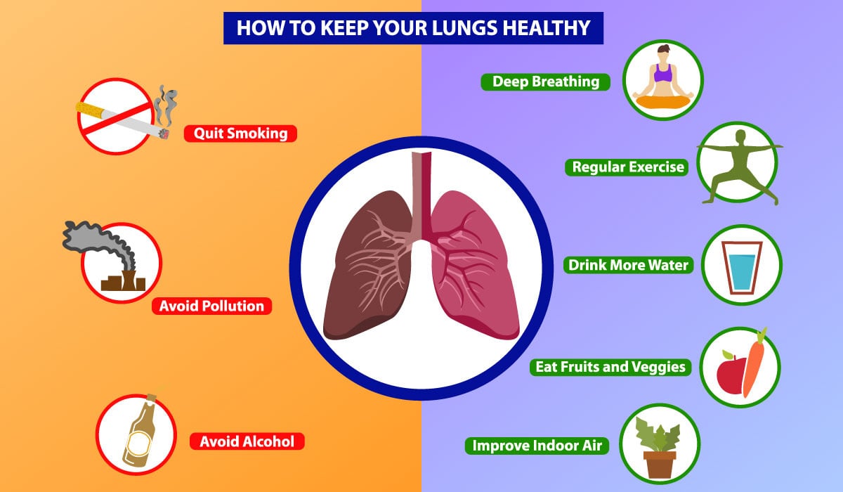Human Lungs Infographic Stock Vector Illustration Of Infographic