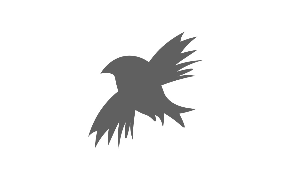 The logo of a black bird with wings pointing upwards isolated on a white  background.Eagle logo. 10929123 Vector Art at Vecteezy