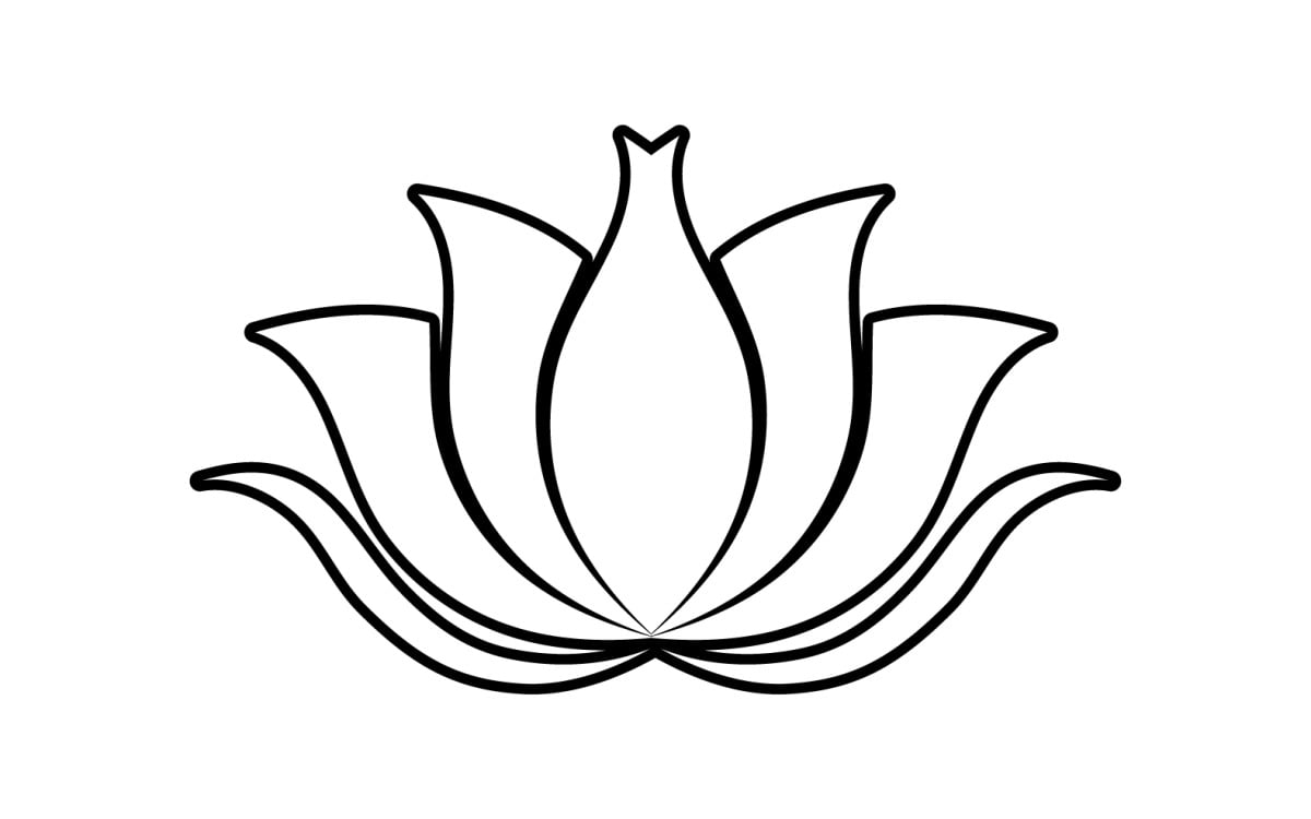 how to draw a lotus flowers very esy step with pencil for beginners,pencil  sketch scenery drawing, - YouTube