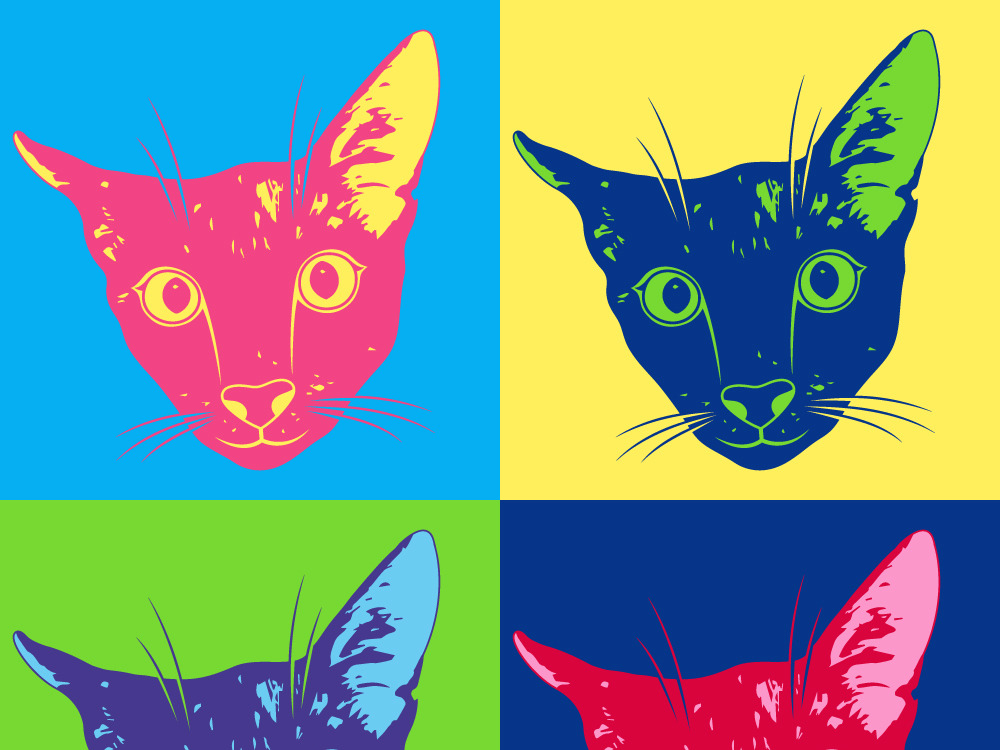 Colorful and unusual - POP ART!