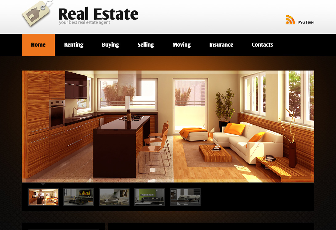Real Estate Agency Flash CMS Template TemplateMonster