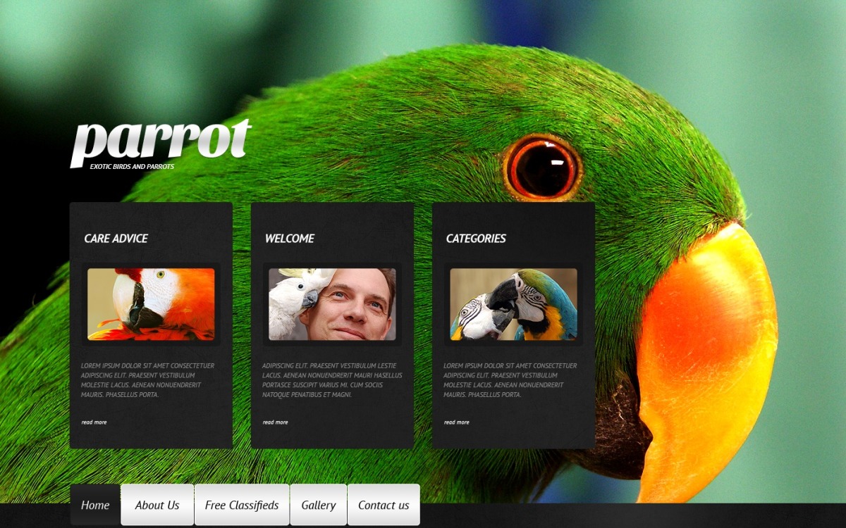 Newbird Website Design