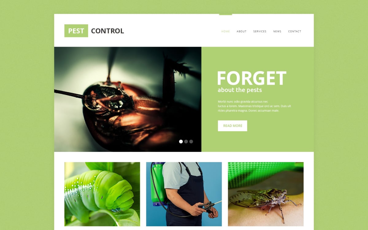 pest-control-responsive-website-template-templatemonster