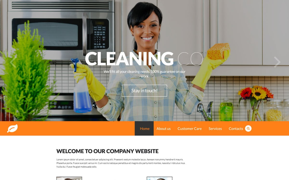 Cleaning Responsive Website Template TemplateMonster