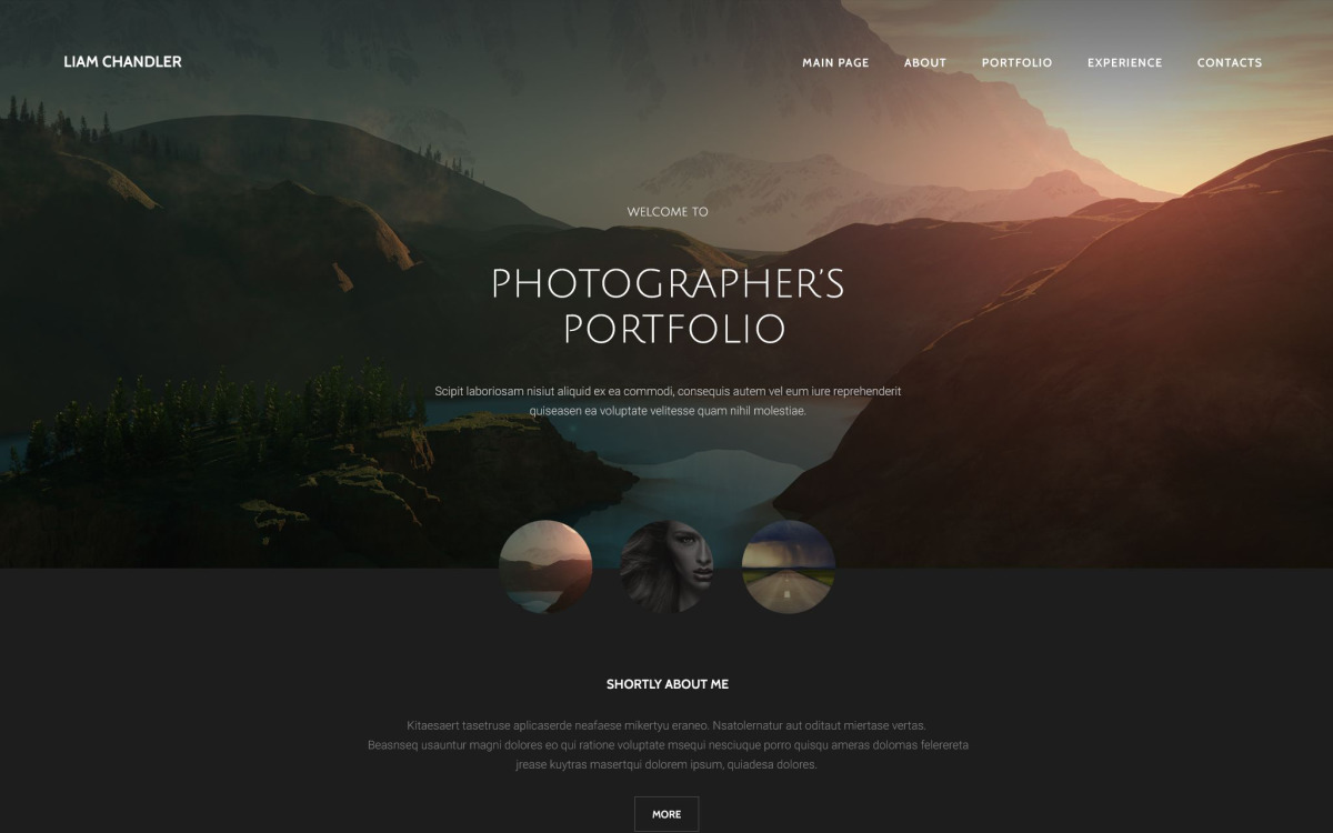 Photographer Portfolio Website Template TemplateMonster
