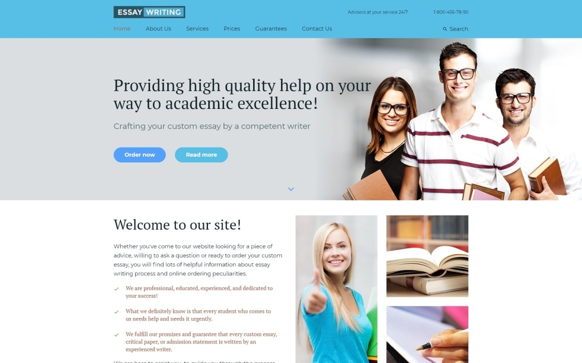 essay writing on website