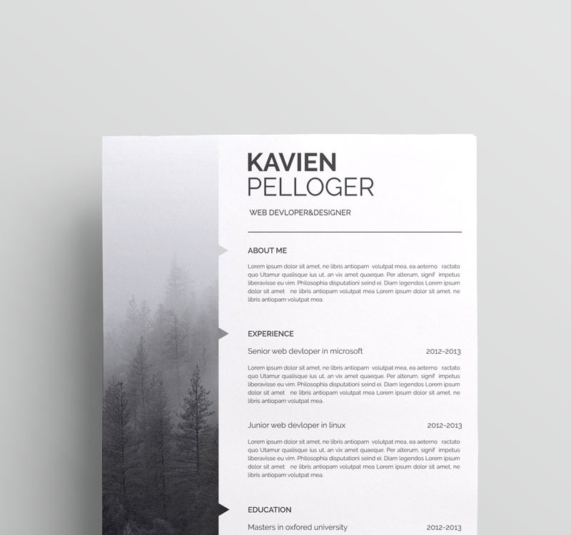 Kavien Pelloger-cv Resume Template #69172 - TemplateMonster