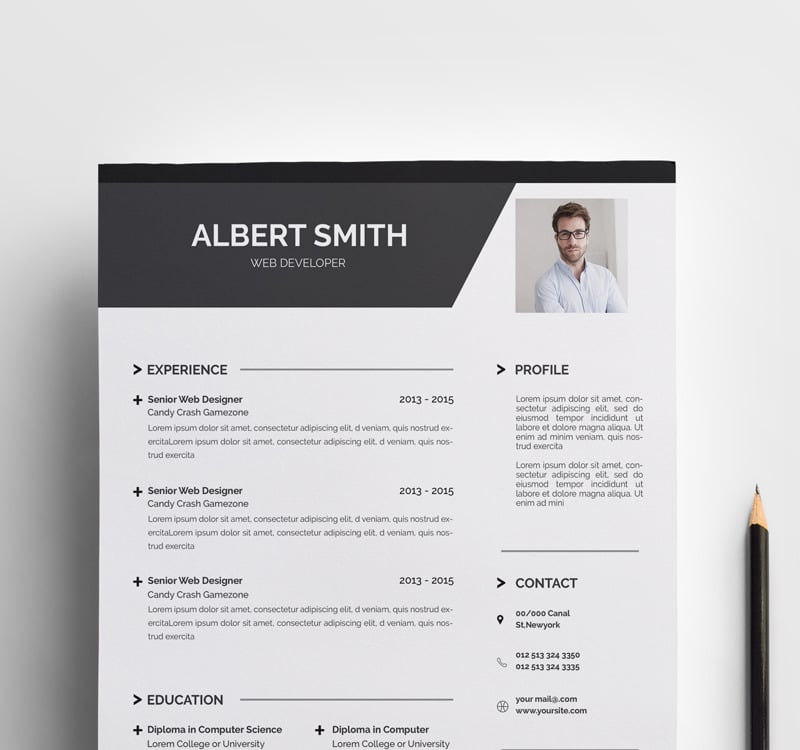 Albert Smith Resume Template #71270 - TemplateMonster