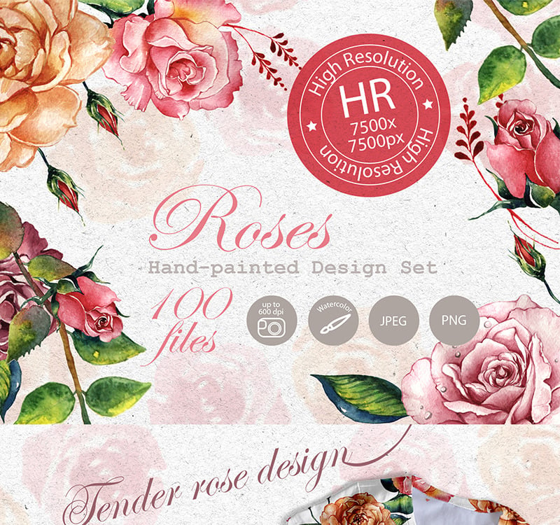 Stunning Roses PNG Watercolor Set - Illustration