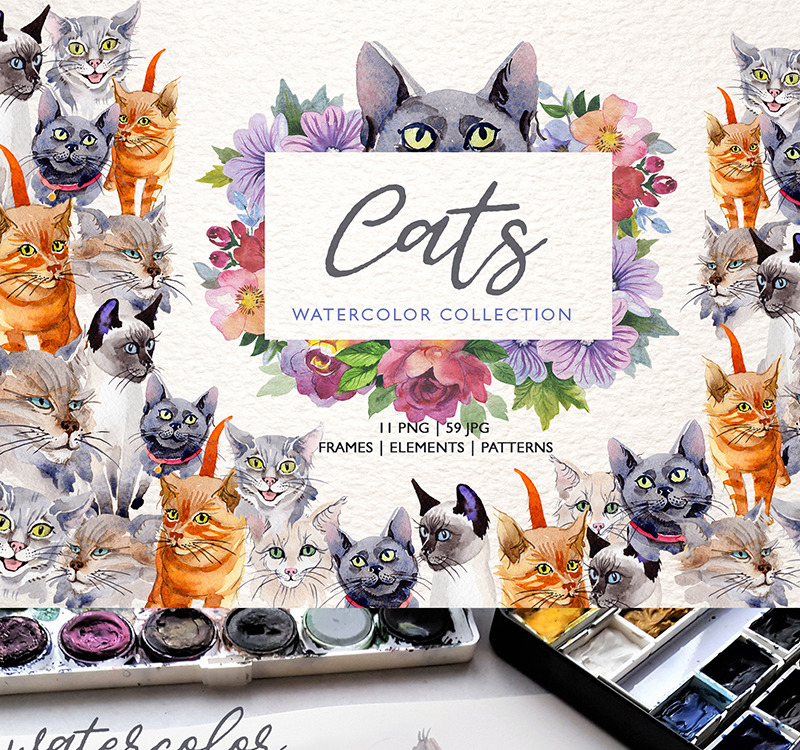 Download Cats Watercolor Png Illustration 76858 Templatemonster