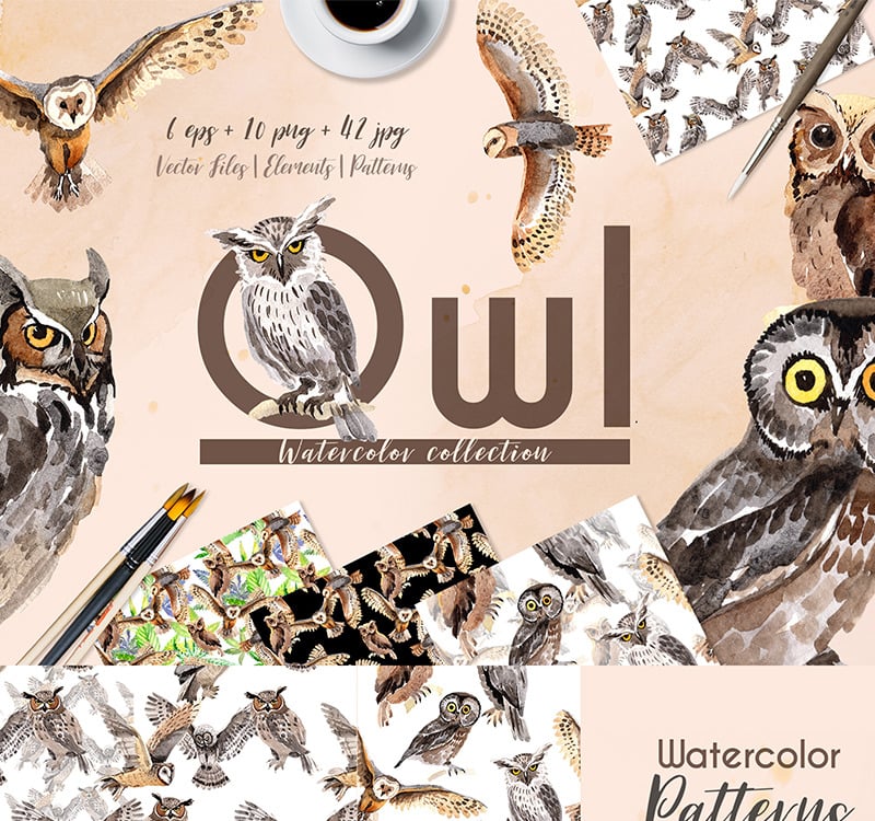 Owl Watercolor Png Ilration