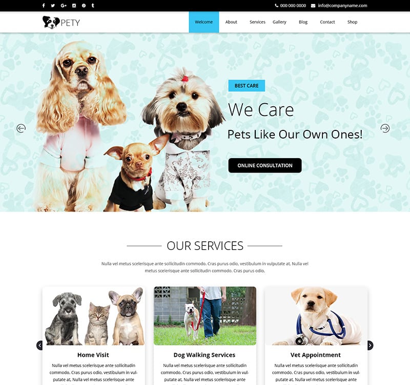 Pety - Multipurpose Pet Care PSD Template - TemplateMonster