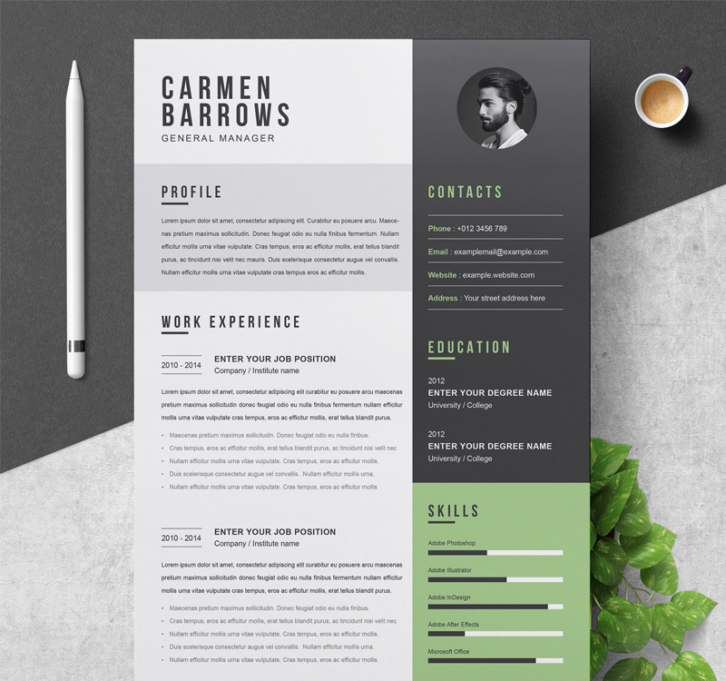 Carmen Resume Template #94085 - TemplateMonster