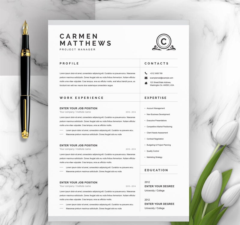 Carmen Resume Template #95619 - TemplateMonster