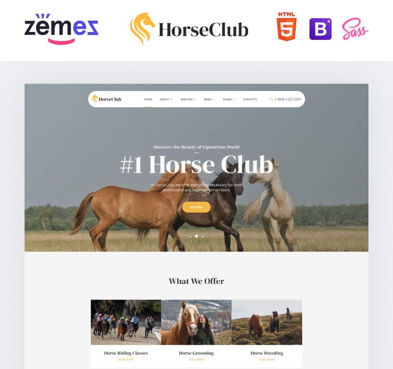 Bootstrap themes. хорс сообщение. макет сайта про лошадей. мускул кокос horse bio. хорсъ кофейная компания.
