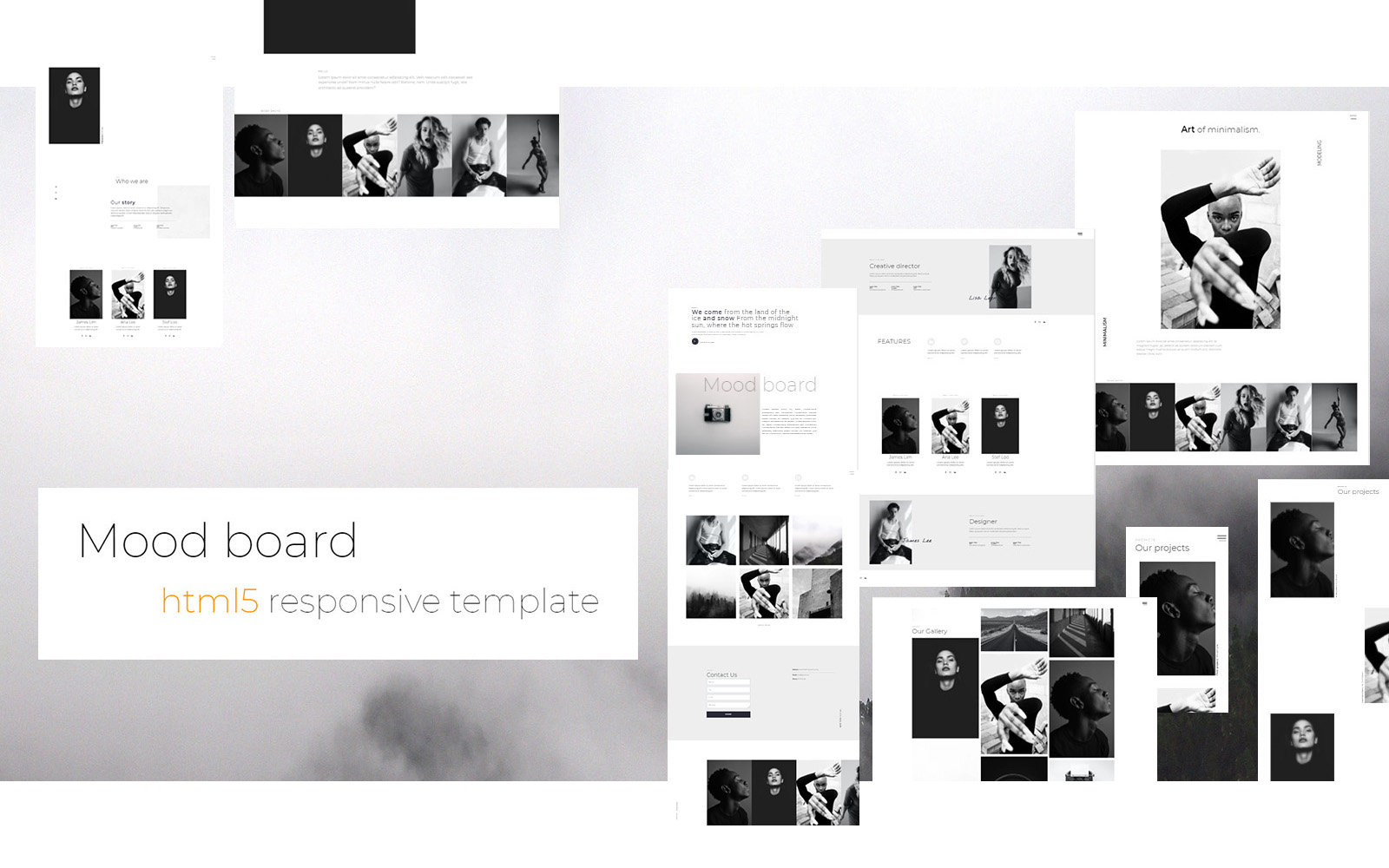 Template Siti Web Responsive #120169 "Mood Board"