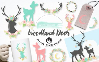 Woodland deer graphics illustrations - Vector Image