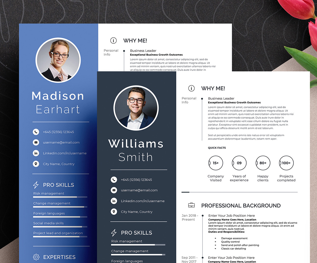 Clean Professional  Editable Resume  Cv  Template With Ms 