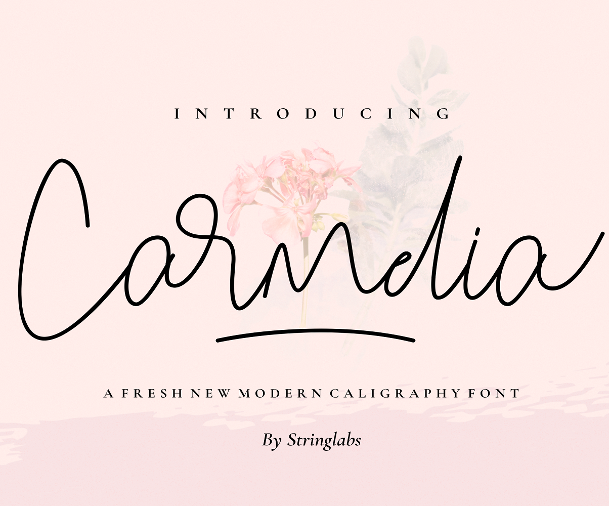 Carmelia - Modern Calligraphy Font #104095