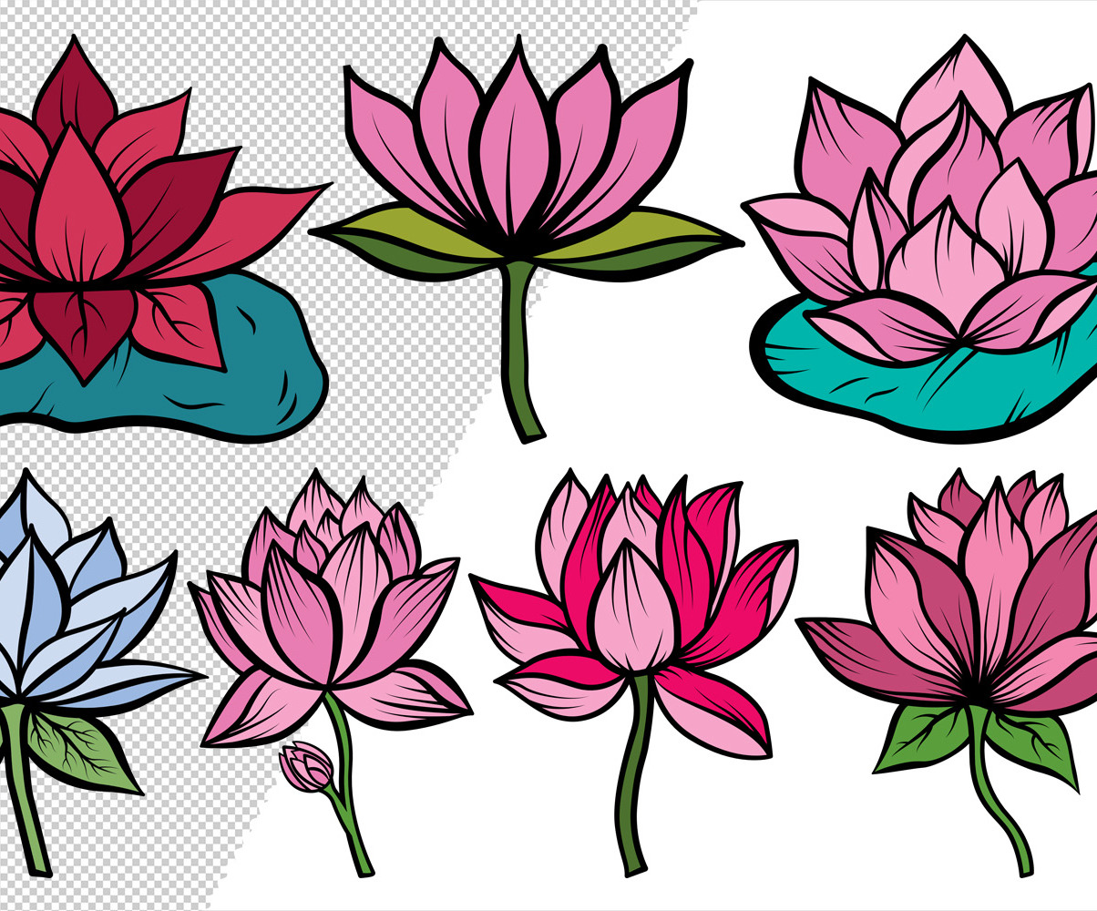 Lotus Flower Clipart Bundle Drawings Illustration 106233 2528