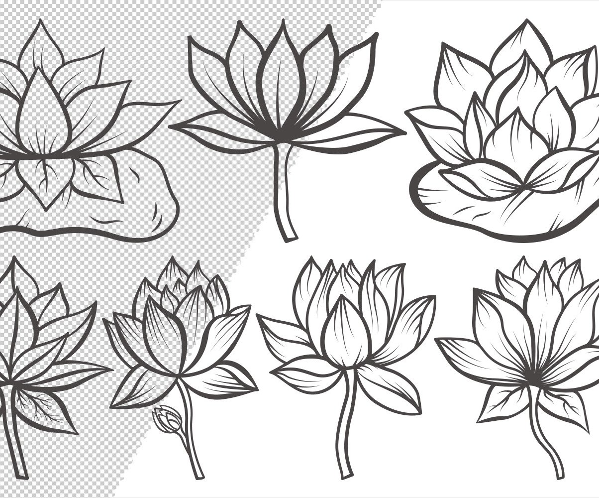 Cartoon Drawing Sketch Of Lotus with simple drawing