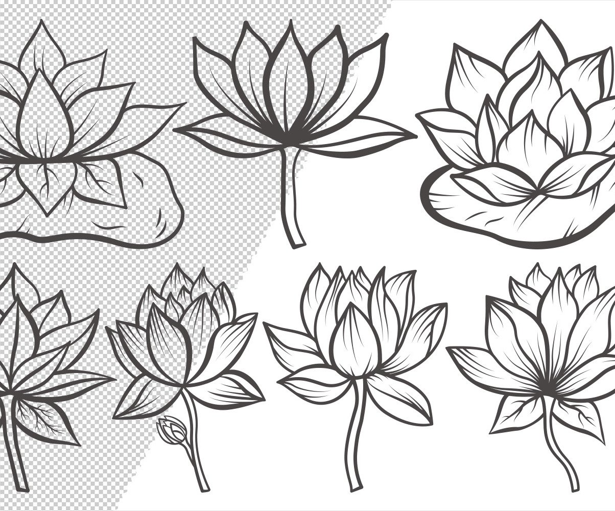 Lotus Flower Outline Bundle Drawings Template Ilustração №106235
