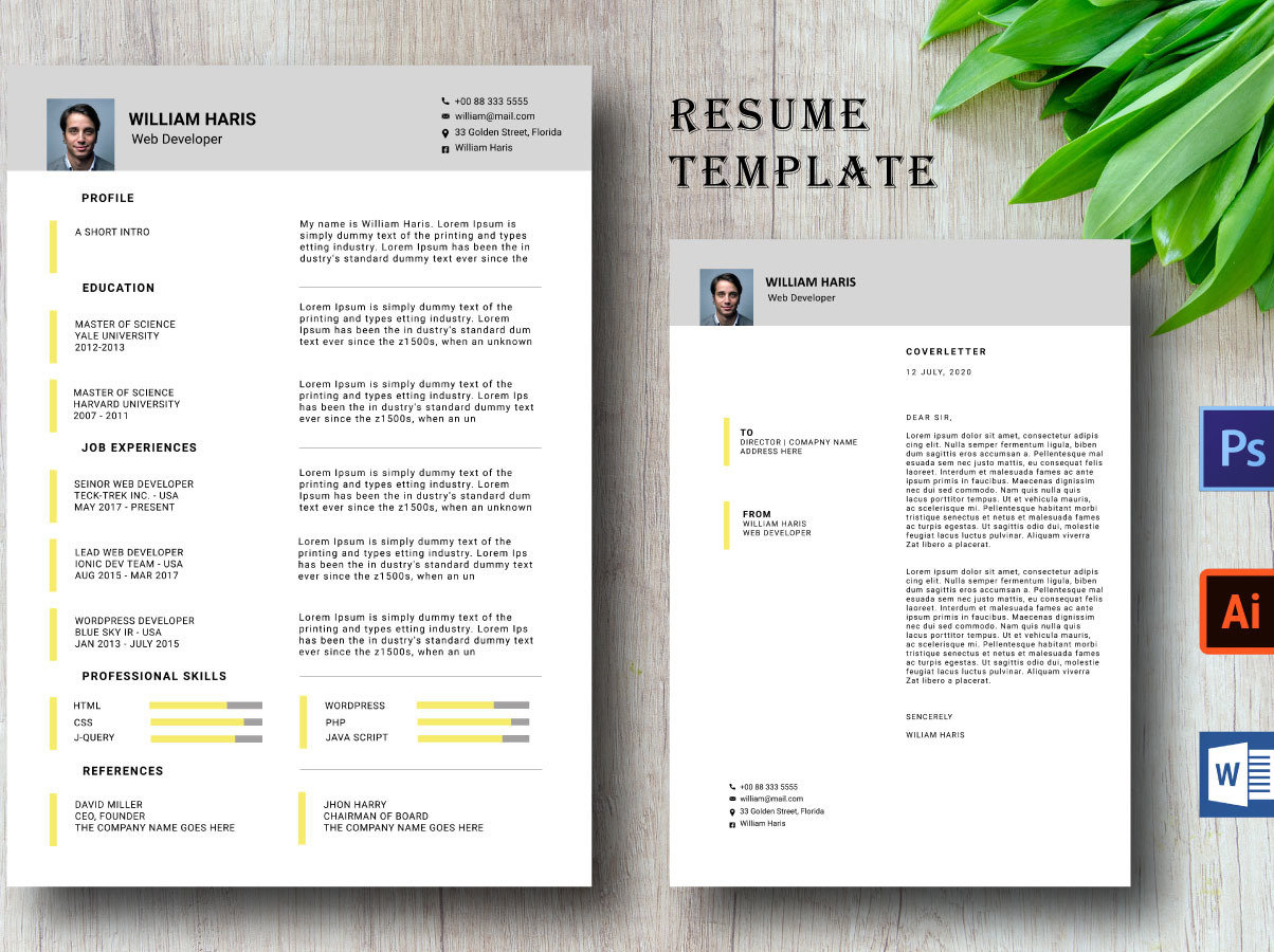 classic-cv-resume-template-106869