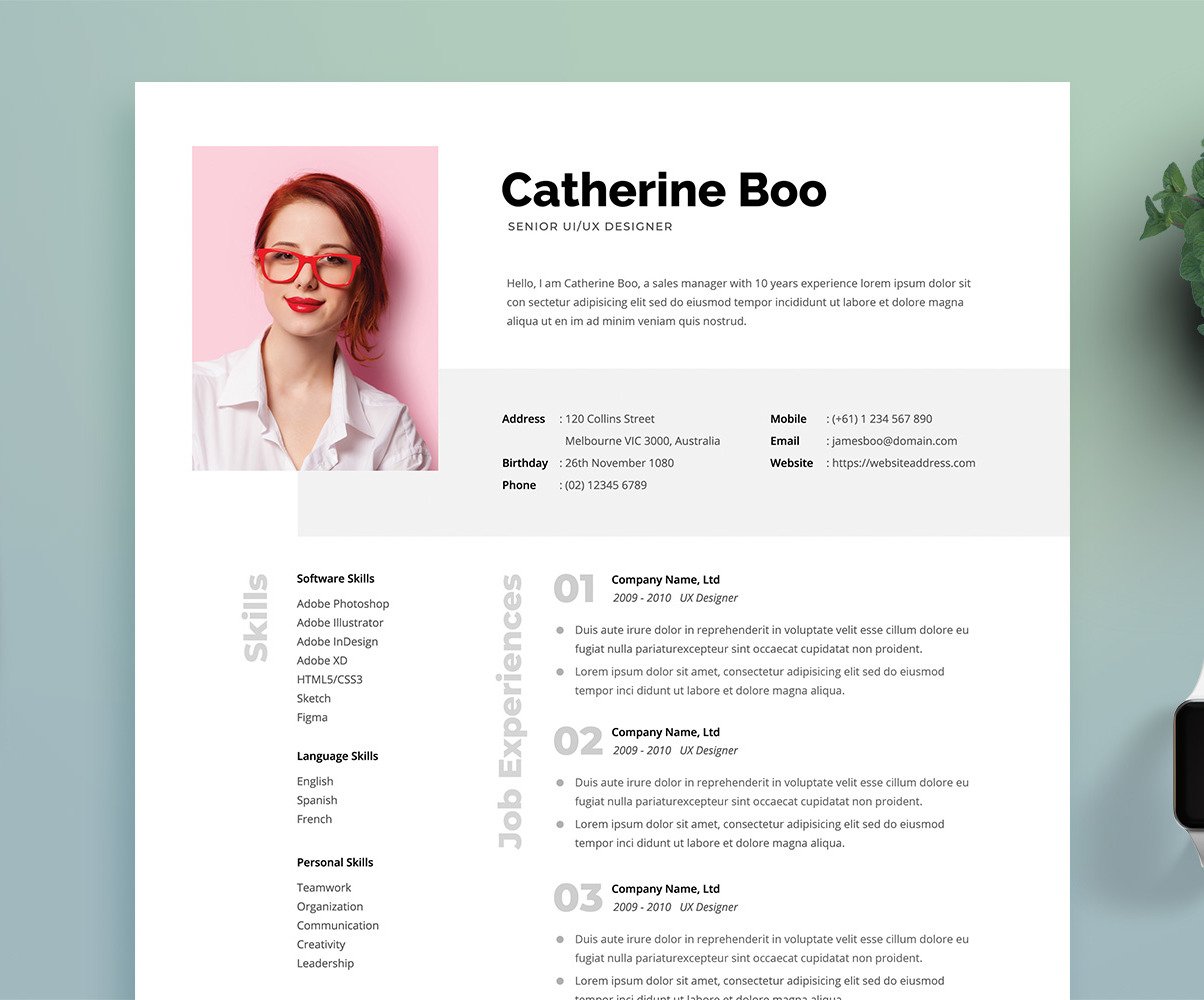 Professional Woman Premium CV Template №107584