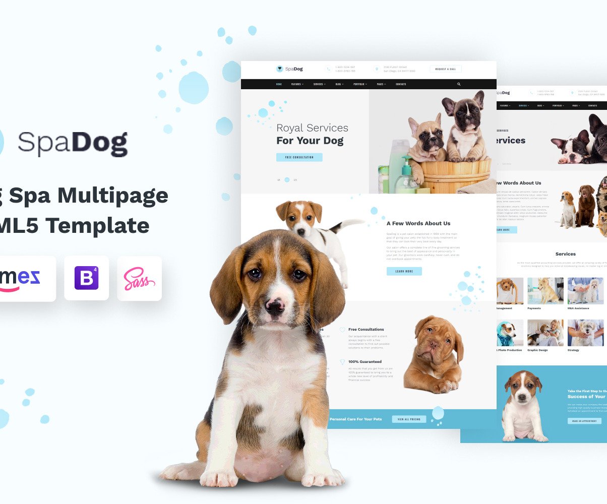 Dog Grooming Salon Website Template for Pet Care TemplateMonster