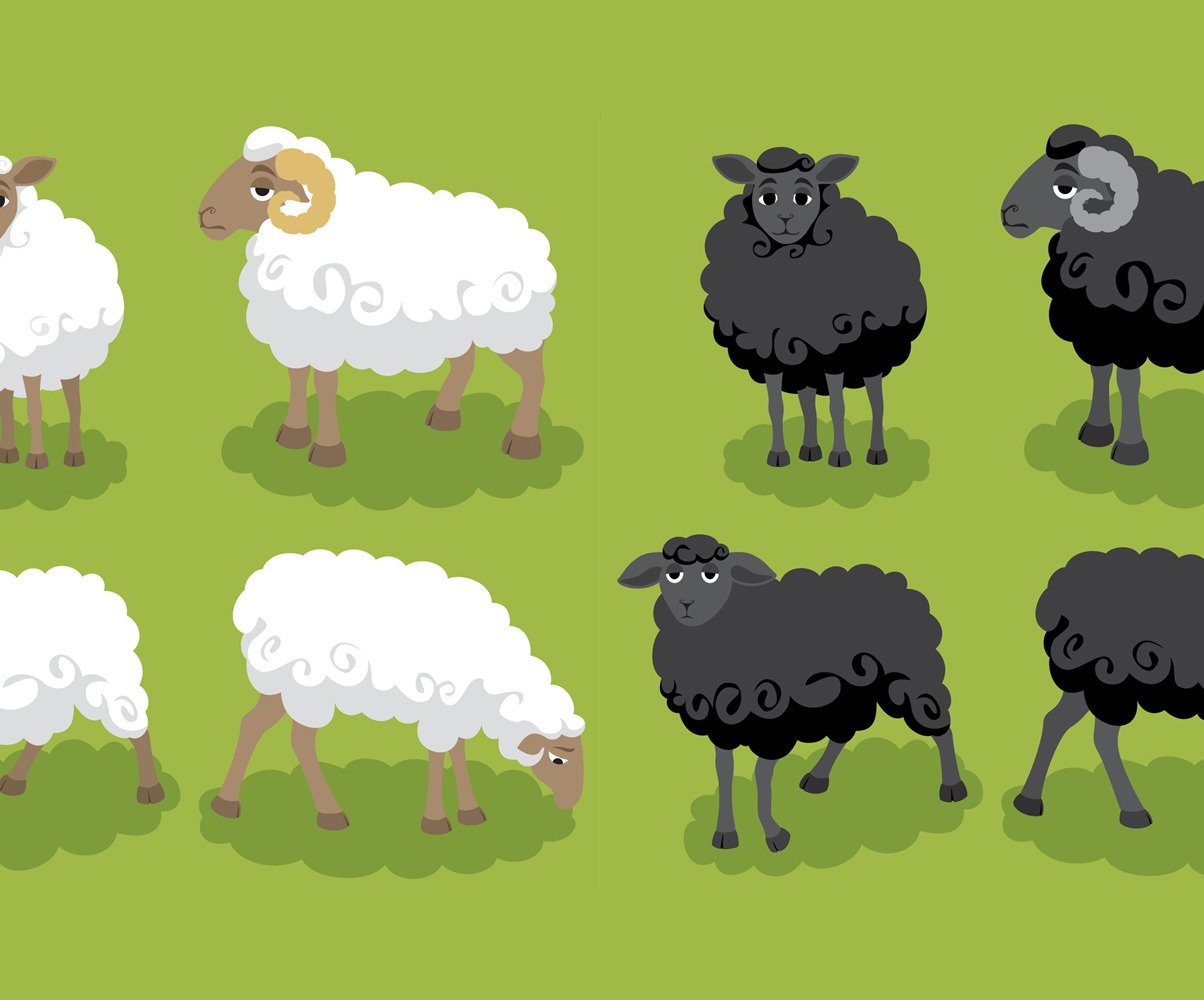 Sheep Illustration #151993