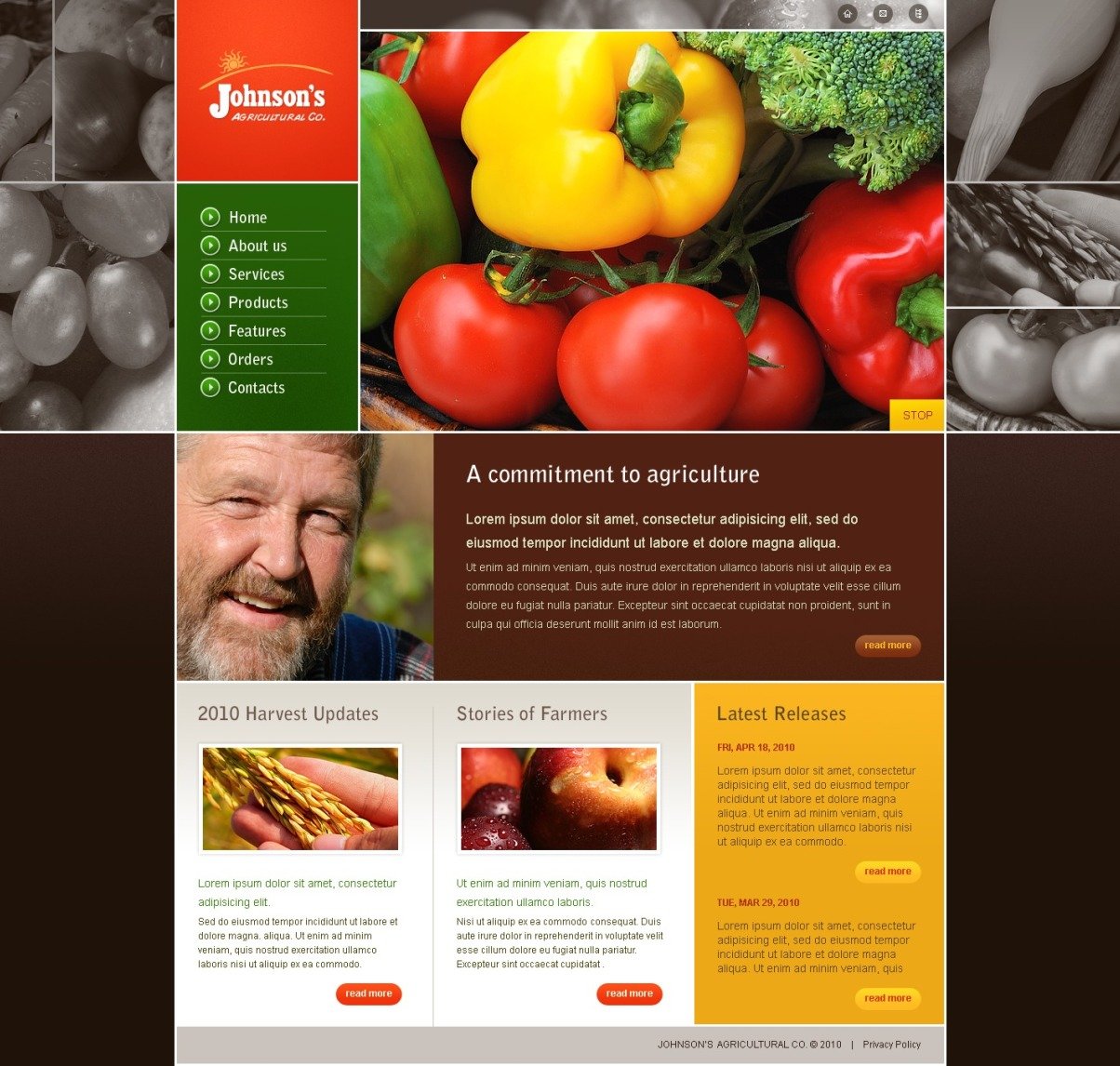 Fruit Website Template #27218 - TemplateMonster