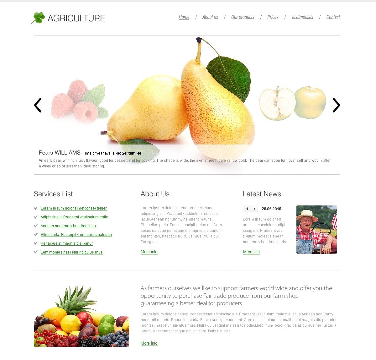 fruit-website-template-29532